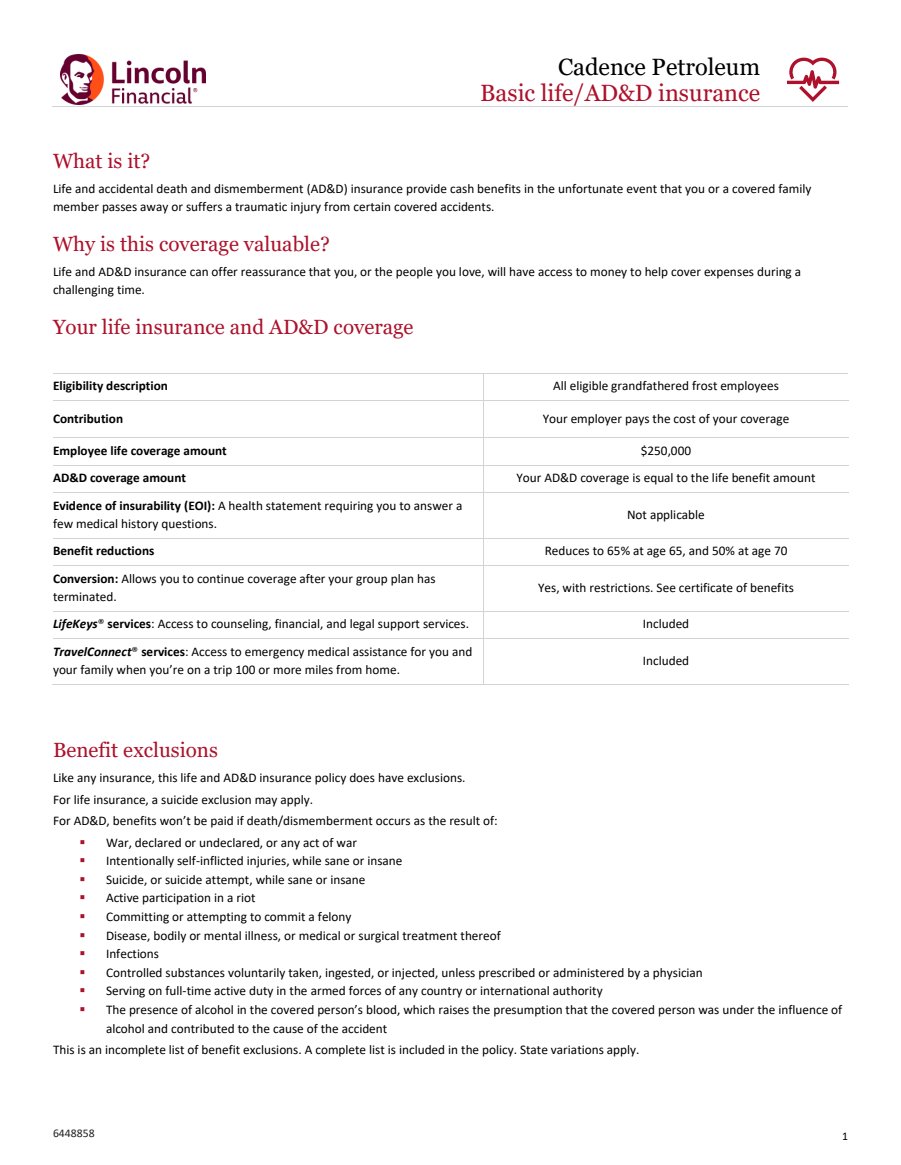 Basic Life and ADD Class 3 Benefit Summary — Other