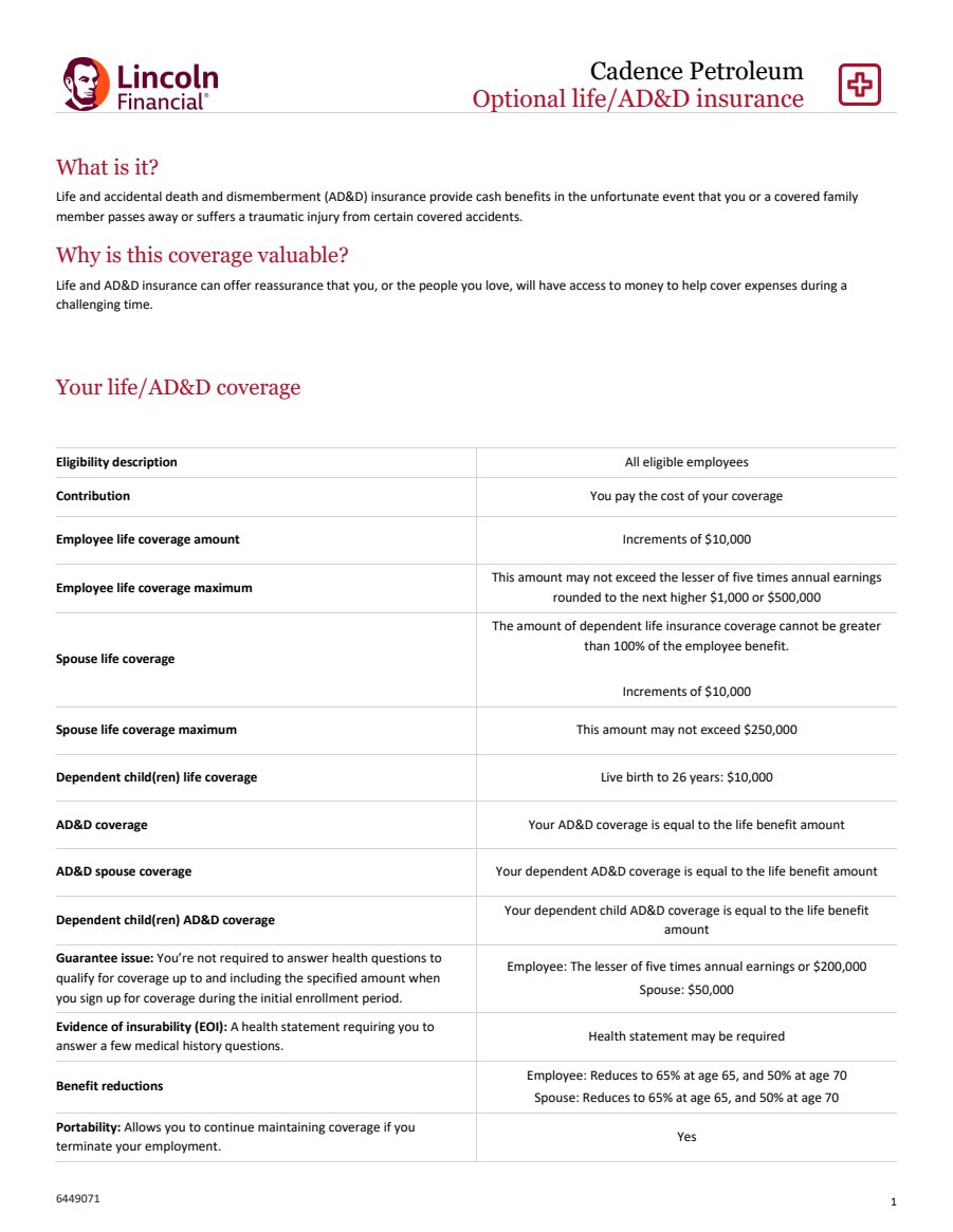 Opt Life and ADD Benefit Summary No Rates